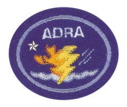 Disaster Response Advanced