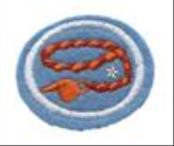 Braiding Advanced