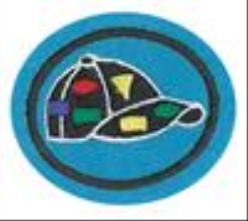 Pin Trading