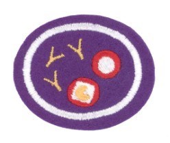Blood and the Body's Defenses