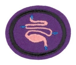 Digestion