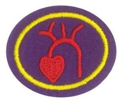 Heart and Circulation