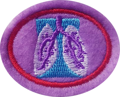 Respiratory System