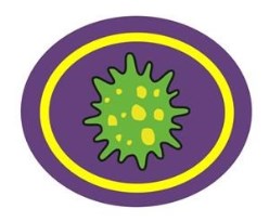 Viruses