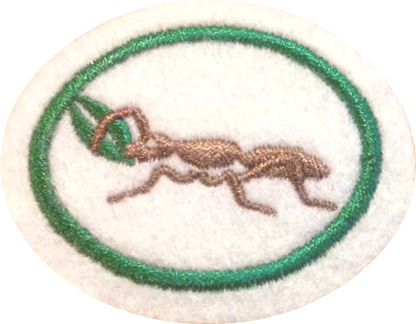 Ants