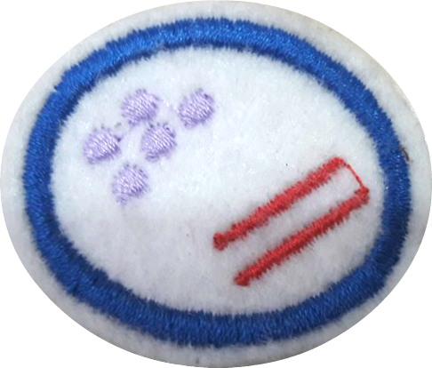 Bacteria