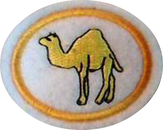 Camelids