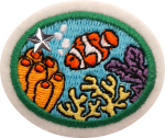 Coral Reefs Advanced