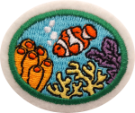 Coral Reefs