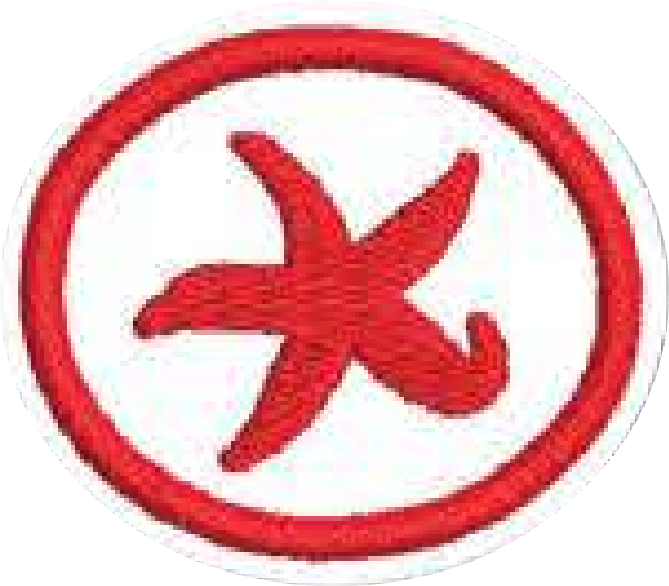 Echinoderms