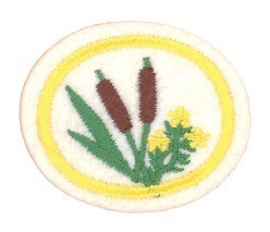 Edible Wild Plants