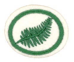 Ferns