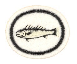 Fishes