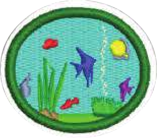 Fishkeeping