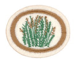 Grasses