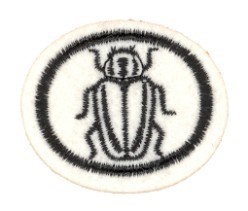 Insects