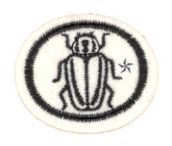 Insects Advanced