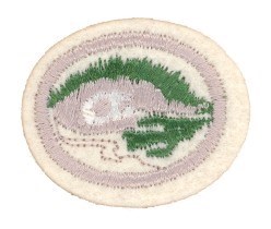 Lichens, Liverworts and Mosses