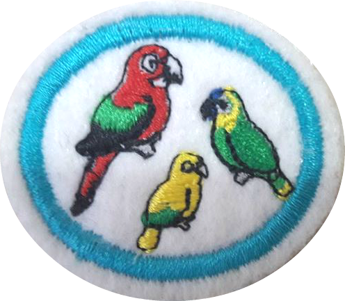 Macaws, Parrots and Parakeets