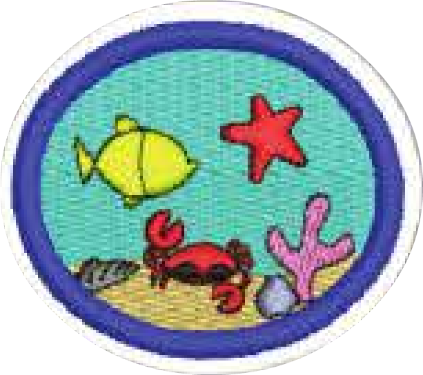 Marine Fauna