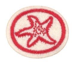 Marine Invertebrates