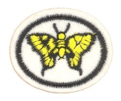 Moths and Butterflies