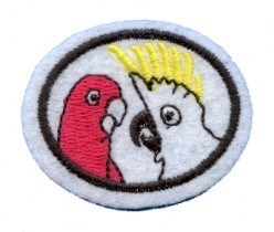 Parrots and Cockatoos