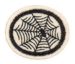 Spiders