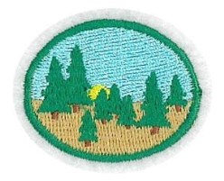 Taiga