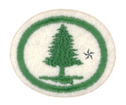 Trees Advanced