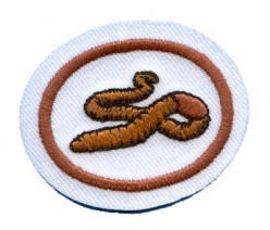 Worms
