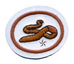 Worms Advanced