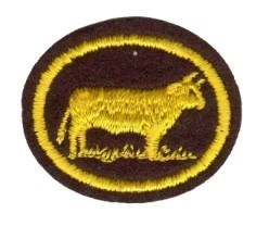 Cattle Husbandry