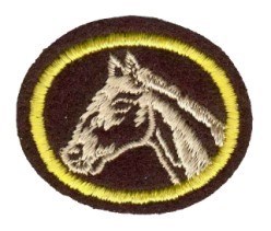 Horse Husbandry