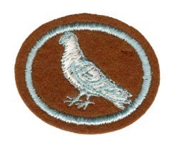 Pigeon Raising