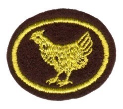 Poultry Raising