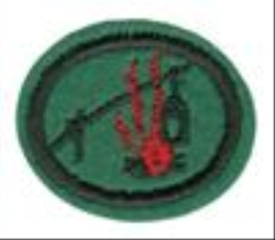 Fire Building and Camp Cookery
