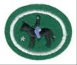 Horsemanship Advanced
