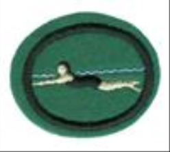 Swimming Beginners