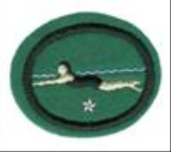 Swimming Beginners Advanced