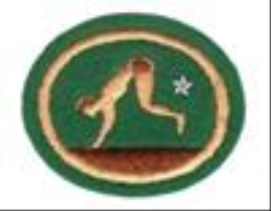 Tumbling and Balancing Advanced