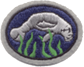 Manatees 