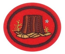 Forestry Advanced