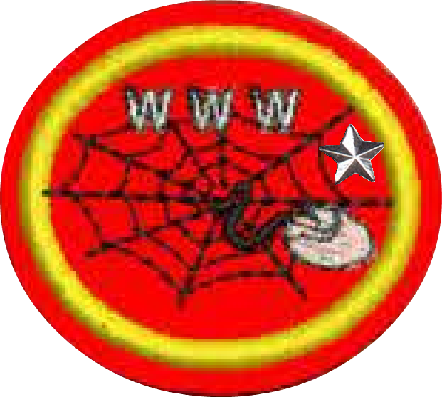 Web Design Advanced